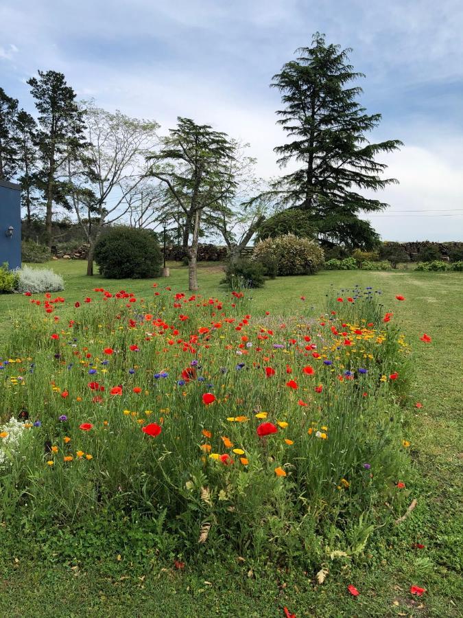 Posada La Serena Tandil Exteriér fotografie